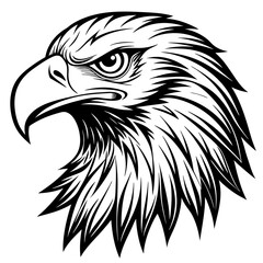 eagle head vector  vector illustration