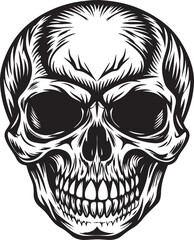 SKULL VECTOR IILLUSTRATION skeleton