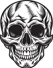 SKULL VECTOR IILLUSTRATION skeleton