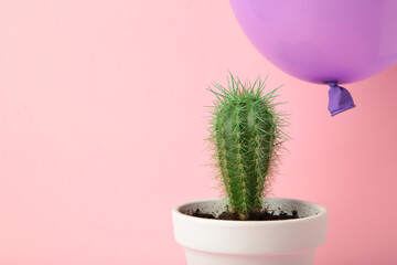 Purple balloon and cactus on pink background