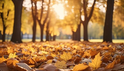  Serene Park with Falling Seasonal Leaves