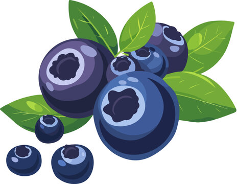 blueberries with green leaves, simple style clip art preview