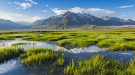 Fototapeta premium Tranquil Mountain Lake with Lush Grasslands - A serene landscape featuring a mountain lake reflecting the snow-capped peaks in the distance. Green grasslands stretch out across the foreground, creatin