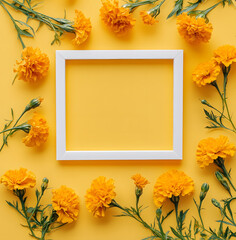 A blank botanical square frame is made from marigold flowers isolated on a yellow background. Wedding or Valentine's Day concept with copy space, floral design for product display design