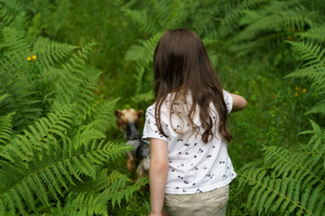 A cute little girl walks with her dog in a dense summer forest. The concept of the unity of a child with a pet and nature.