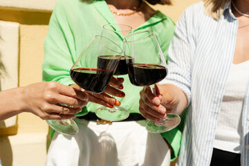 friends having brunch, toasting, saying cheers holding wine glasses. Food and beverage celebration concept