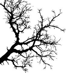 Branch clipart desing illustration