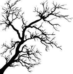 Branch clipart desing illustration