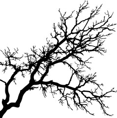 Branch clipart desing illustration