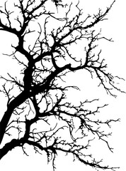 Branch clipart desing illustration