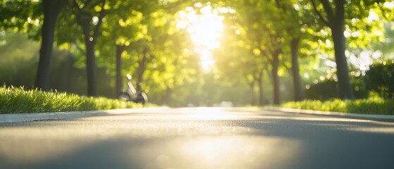 Sunny road through green trees, blurred background.