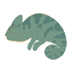 Chameleon Animal Illustration
