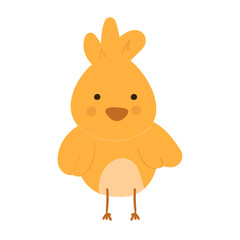 Chick Animal Illustration