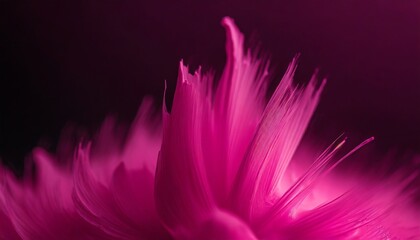 Magenta Paint Background or Wallpaper - Color of the Year 2023