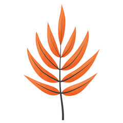 autumn colored bright leaf highlighted on a white background. vector illustration