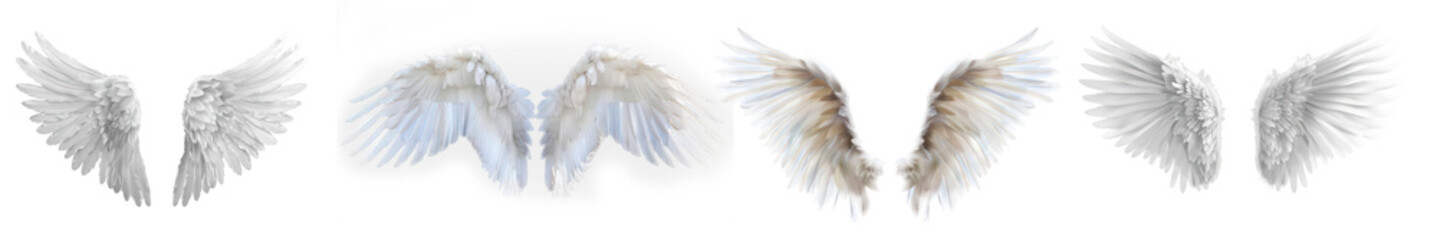 Fototapeta premium White wings collection, isolated on transparent background. 
