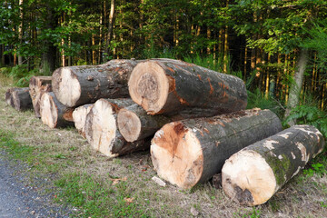 rondin bois chauffage planche foret