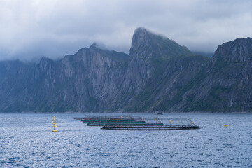 A salmon farm in a fjord in Senja, Norway.