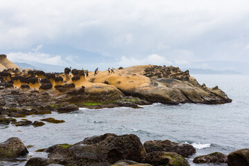 Taiwan 18 June 2024: Yehliu Geological Park in Taiwan