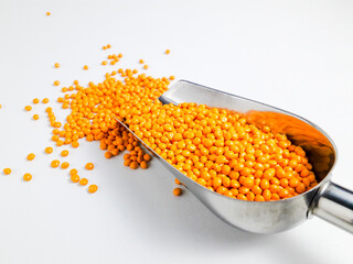 Turmeric yellow masterbatch granules in a scoop on a white background.Color pigment carrier polymer in the plastics industry