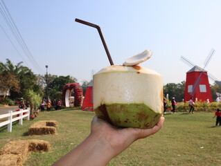 Coconut drink in hand. selective focus