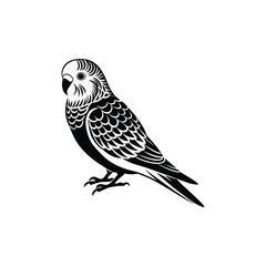 Creative Budgerigar Bird Silhouette Vector Art