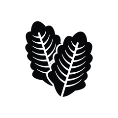 Lettuce vector icon