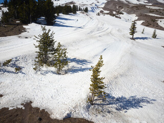 A snowy mountain with a path and trees