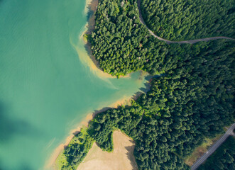 A green forest with a body of water in the background