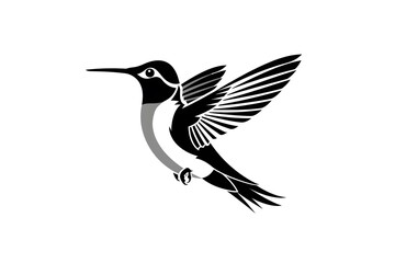 Fototapeta premium Elegant black and white hummingbird in mid-flight.