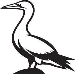 Gannet vector silhouette illustration