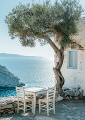 A lonely full of olives tree on a greek coast cliff, old white greek house, old white chairs and table