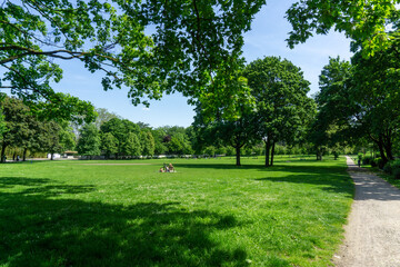 Obraz premium Green Lawn in Rosengarten in Cologne, Germany.