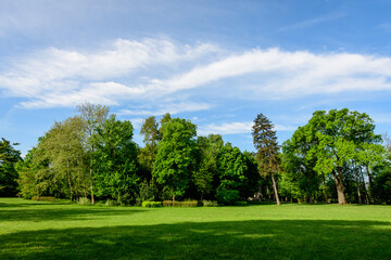 Landscape with old green trees in Mogosoaia Park (Parcul Mogosoaia), a weekend attraction close to Bucharest, Romania, in a sunny spring day.