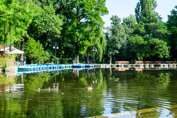 Obraz premium Lake, green trees and grass in a sunny summer day in Cismigiu Garden in Bucharest, Romania .
