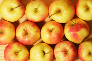 Harvesting a new village crop of organic apples