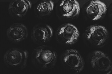 Black and white low-key flatlay of mushrooms, showcasing their textures and shapes with dramatic shadows. Perfect for adding a rustic, organic touch to your design projects.