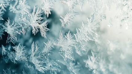 Macro image of a frost-covered window showcasing delicate ice crystals forming unique patterns