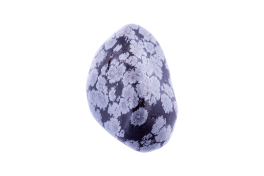 obsidian snow stone macro mineral on a white background close up