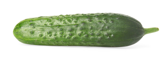 One fresh green cucumber isolated on white
