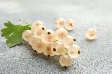 Fresh white currant berries and green leaf on gray textured table, closeup