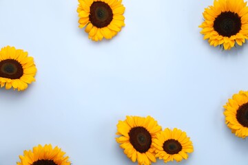 Sunflower heads on light grey background, flat lay. Space for text