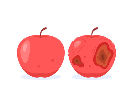 illustration of fresh and nice red apple with rotten and damaged apple. condition of food or fruit. change, old and new. flat style design. graphic elements