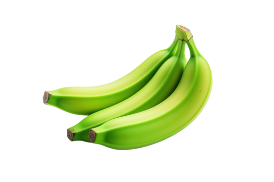A Trio of Unripe Green Bananas Isolated on a White Background on a White or Clear Surface PNG Transparent Background.