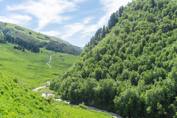 Obraz premium A mountain river flows down the mountains into a gorge. The hills are covered with forest and bushes. Green grass.