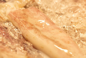 squid carcass in ice as background.