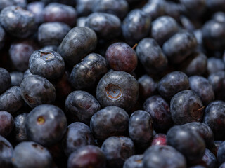 blueberries