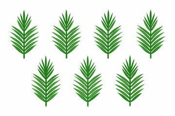 Set of 9pes different type of Pine leaf set art vector illustration