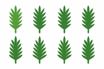 Set of 9pes different type of Pine leaf set art vector illustration