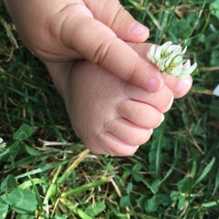 Baby Blume Klee